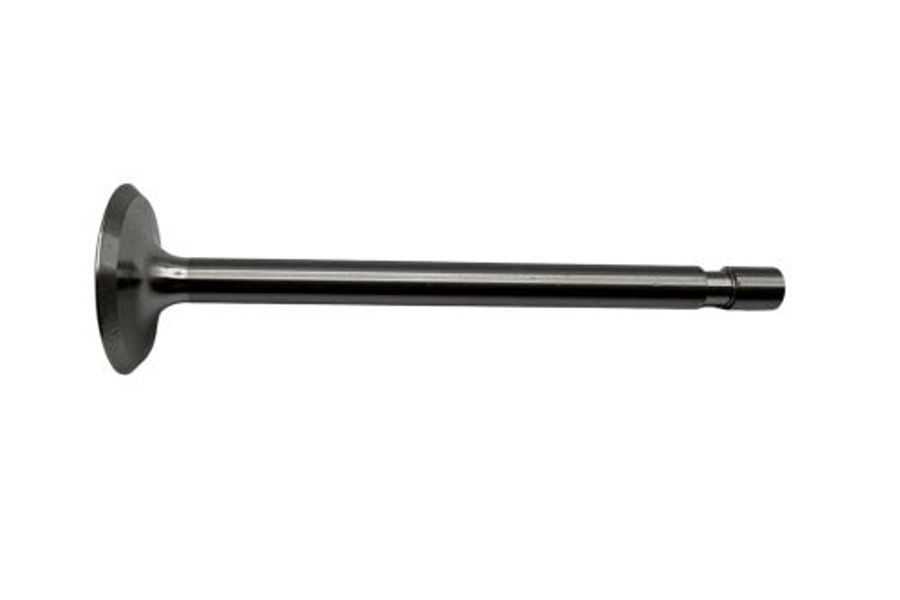 Valve - Exhaust