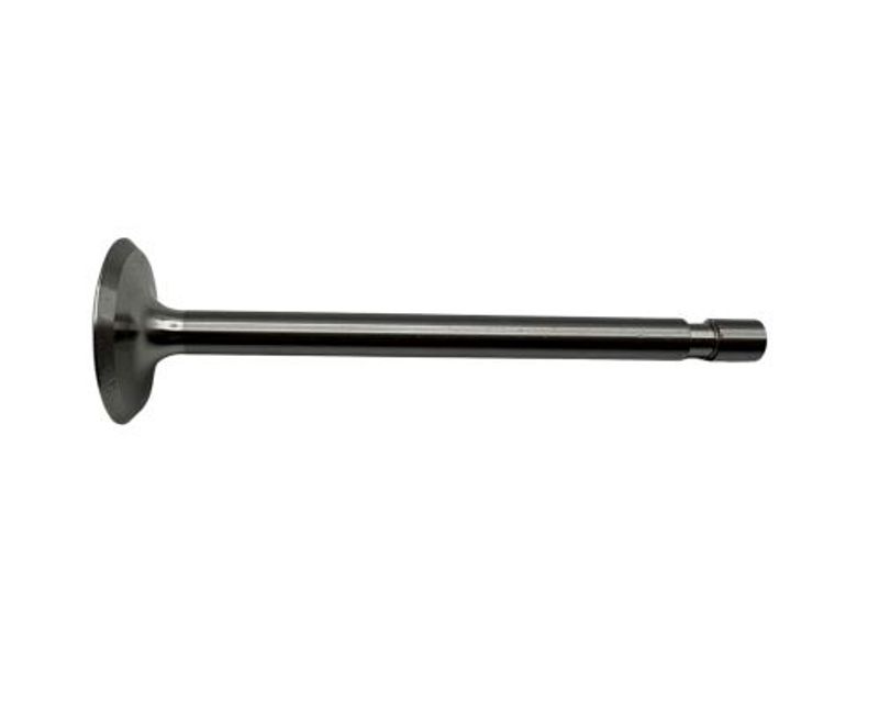 Valve - Exhaust