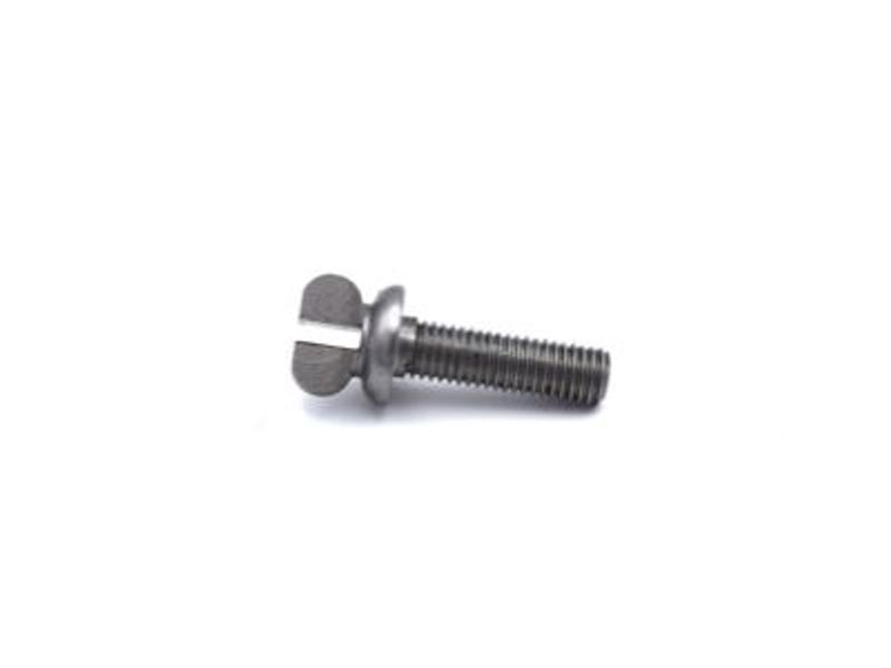 5mm Steel Body Screw - 17mm Long x 0.75 Pitch