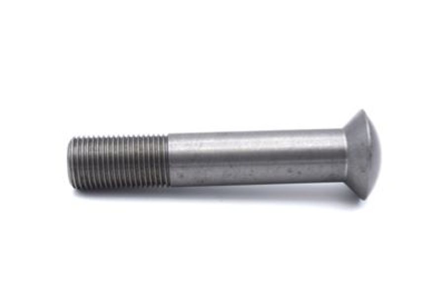 Shock Absorber Bolt - Lower Front