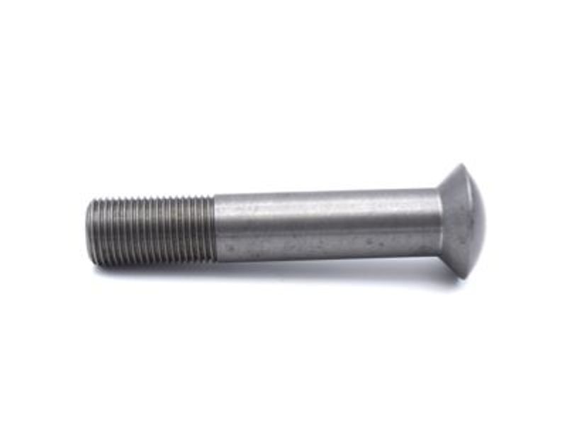 Shock Absorber Bolt - Lower Front