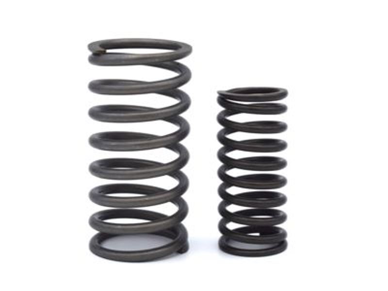 Valve Spring Set - Exhaust and Inlet