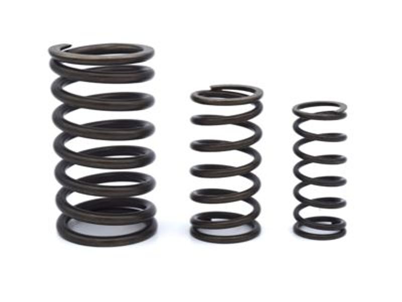 Valve Spring Set - Exhaust and Inlet