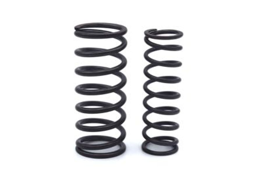 Valve Spring Set - Inlet