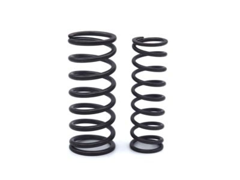 Valve Spring Set - Inlet