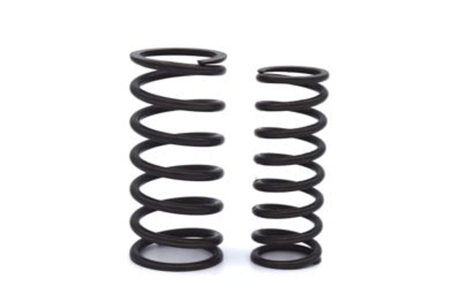 Valve Spring Set - Inlet
