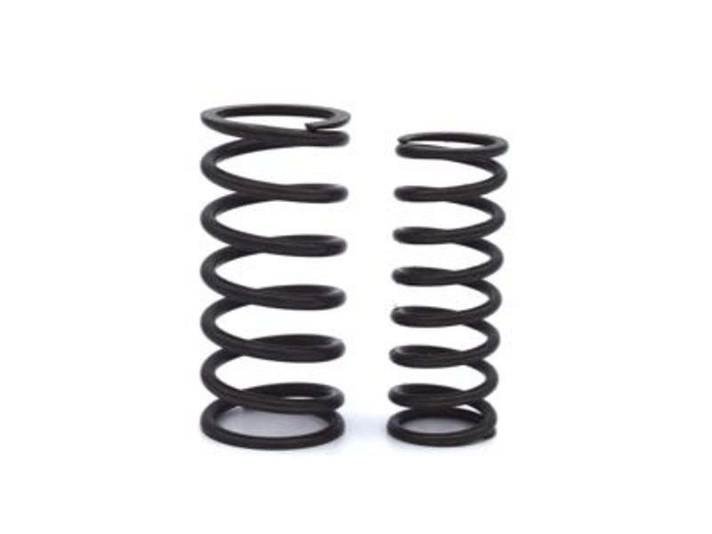 Valve Spring Set - Inlet
